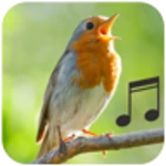 Logo of Bird Calls and Sounds android Application 