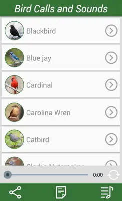 Bird Calls and Sounds android App screenshot 2