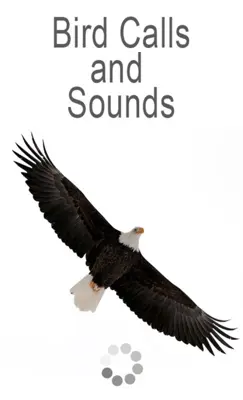 Bird Calls and Sounds android App screenshot 3